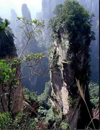長沙出發(fā)到張家界溶洞奇觀黃龍洞、國家森林公園、袁家界、峰林之王天子山三日游（早班）