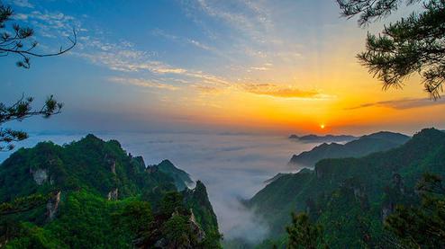 張家界森林公園（金鞭溪、袁家界、楊家界、天子山、十里畫廊）住山上2天1游（可看日出）